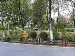 -大兴滨河森林公园