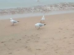 -金梦海湾浴场