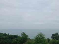-广东惠东海龟国家级自然保护区