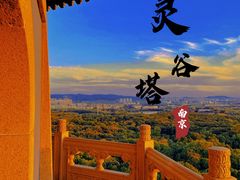 -灵谷景区