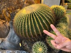 -大垣书店(烏丸三条店)