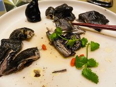 -沙龙酒家
