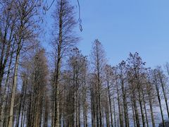 -四明湖