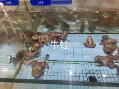 -大润发购物广场名烟名酒(九全嘉国际店)