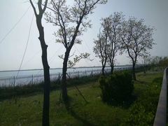 -江滩湿地公园