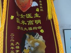 -嘉馨宠物医院·CT影像转诊·心脏科·犬猫全科诊疗中心(下沙大学城院区)
