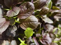 -长春公园(普阳街道)