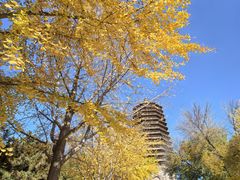 -玲珑塔公园