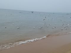 -老虎石海上公园