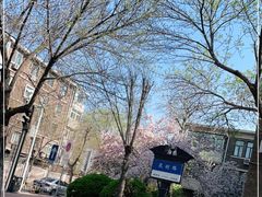 -天津五大道文化旅游区