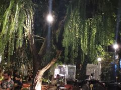 -Fern Forest Cafe