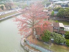 -喜洲吧·江畔老船厂·庭院餐厅(喜临院店)