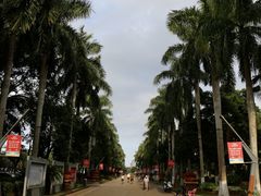 -万绿园
