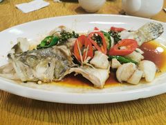 -寻味顺德·南记酒家·传统顺德菜·鱼生(广源路店)