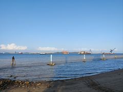 -大湾区中央湿地公园