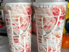 -东方墨兰(水游城店)