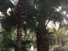 -鱼凫国都大酒店温泉