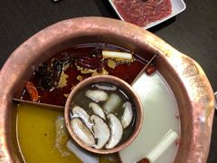 -老诚一锅羊蝎子(黄寺大街店)