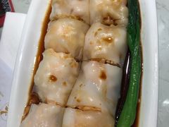 -南枝记