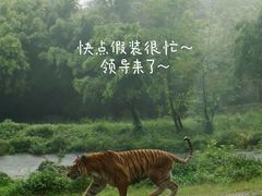 -乐和乐都主题乐园