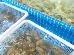 -老东镇啤酒屋海鲜加工·蒸汽海鲜·海鲜烧烤(台东店)