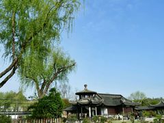 -盆景园(扬州大运河文化旅游度假区)