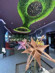 -花隐·美芙炫海菲秀皮肤管理中心