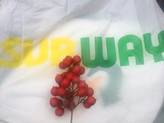 -赛百味SUBWAY(2.5产业园店)