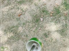 -江南第一家