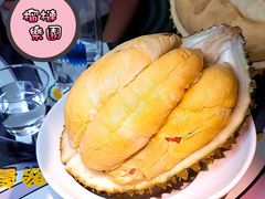 原粒貓山王榴槤-榴梿乐园