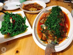 -老字号怡玺·藿香雅鱼(20年雅安店)