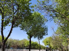 -元大都城垣遗址公园