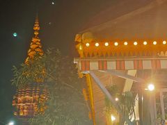 -纳兰傣雀傣味餐厅