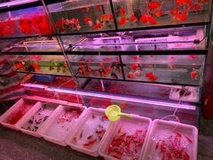 -宝鸡东道花鸟鱼虫市场(吉利花园商场店)