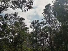 -仙岳公园