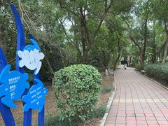 -广东惠东海龟国家级自然保护区