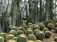 -南山植物园