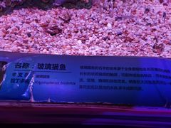 -正佳自然科学博物馆