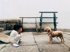 -小河无名面馆