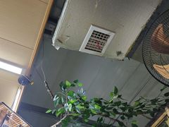 -老家黄墩小错鸡·活海鲜