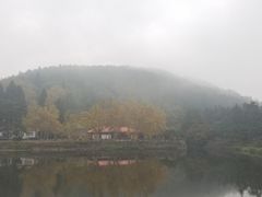 -庐山风景区花径公园