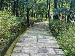 -广州白江湖森林公园