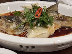 -山水茶艺馆·点心粤菜·30年老字号