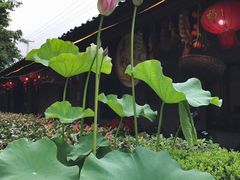 -白云源风景区