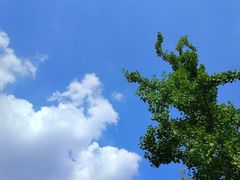 -国际非物质文化遗产博览园