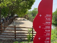 -苏州太湖西山岛开心农场