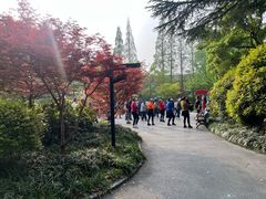 -兰溪青年公园