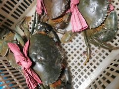 -鑫朱雀农贸批发市场