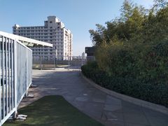 -洛克公园·篮球·足球·羽毛球(莘庄店)