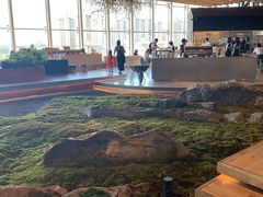 -Seesaw Coffee(朝阳大悦城店)